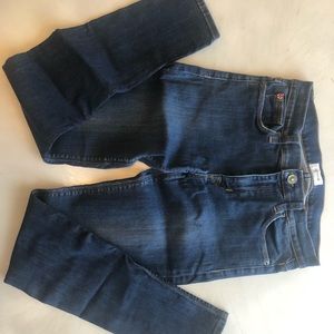 Hudson Skinny Stretch Jeans 27